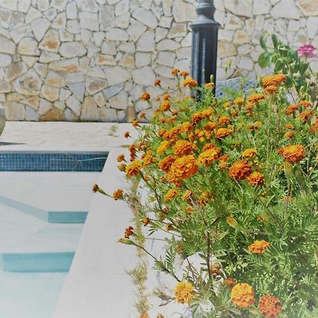 Estate Dafnopanagia Villa Magda Ασπρογερακάτα Εξωτερικό φωτογραφία