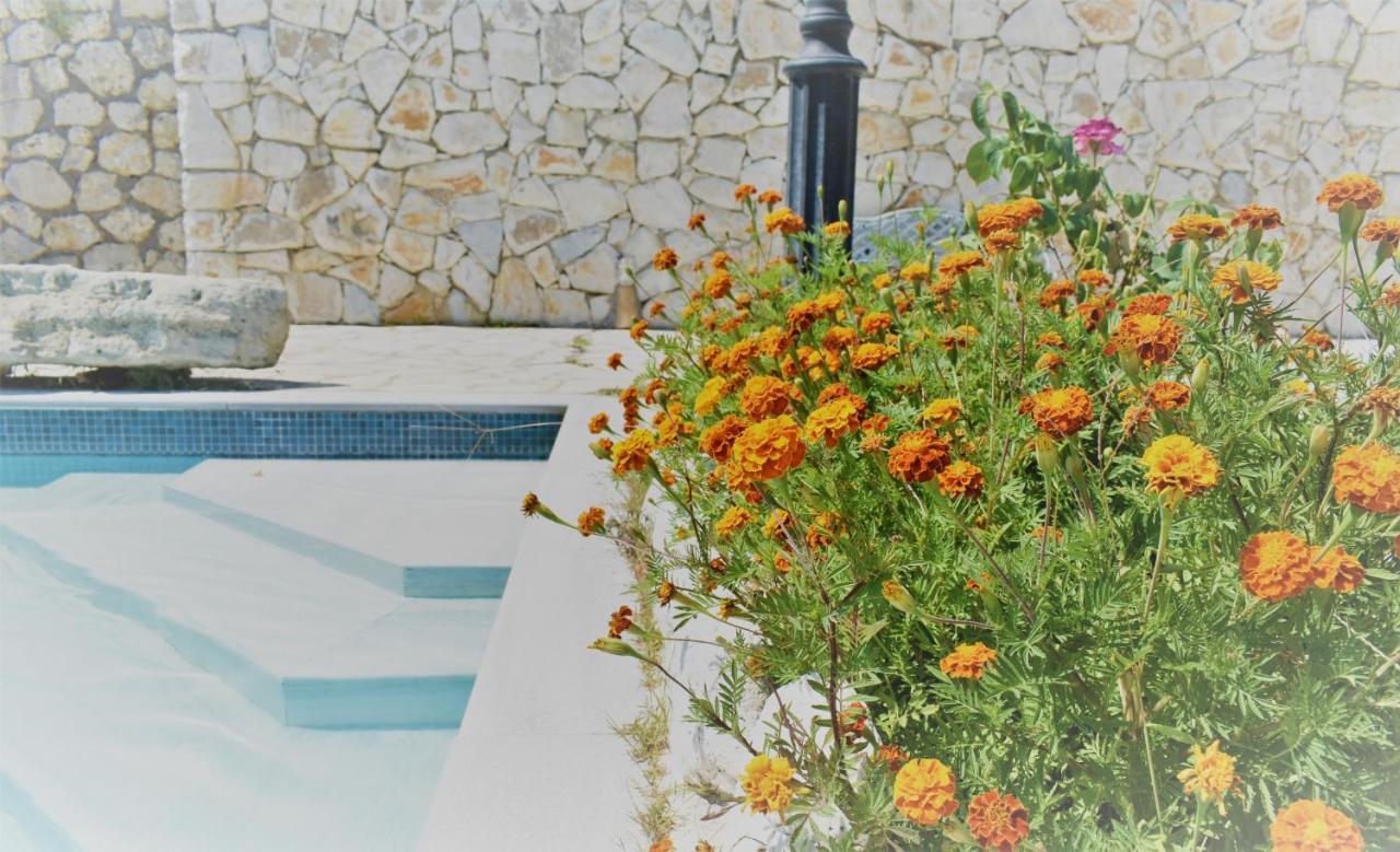 Estate Dafnopanagia Villa Magda Ασπρογερακάτα Εξωτερικό φωτογραφία