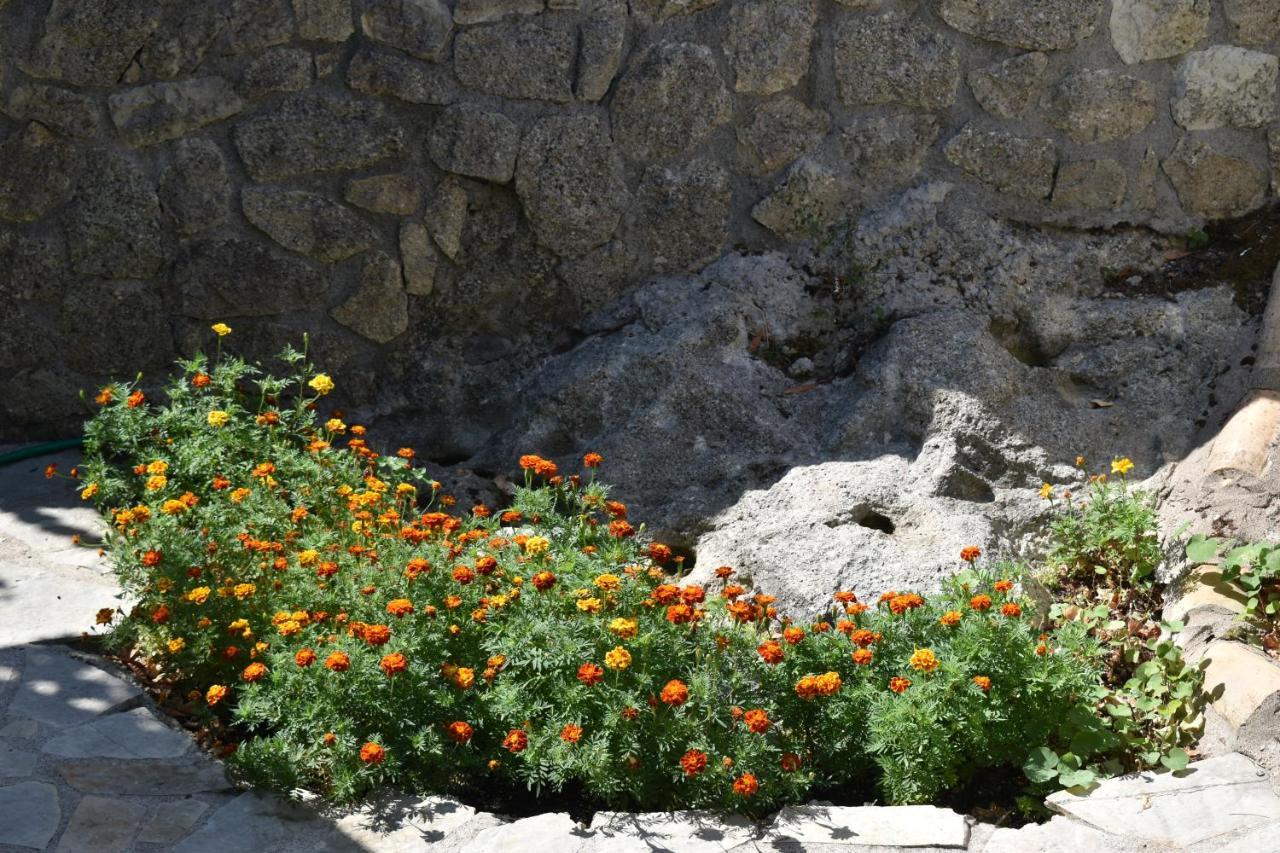 Estate Dafnopanagia Villa Magda Ασπρογερακάτα Εξωτερικό φωτογραφία